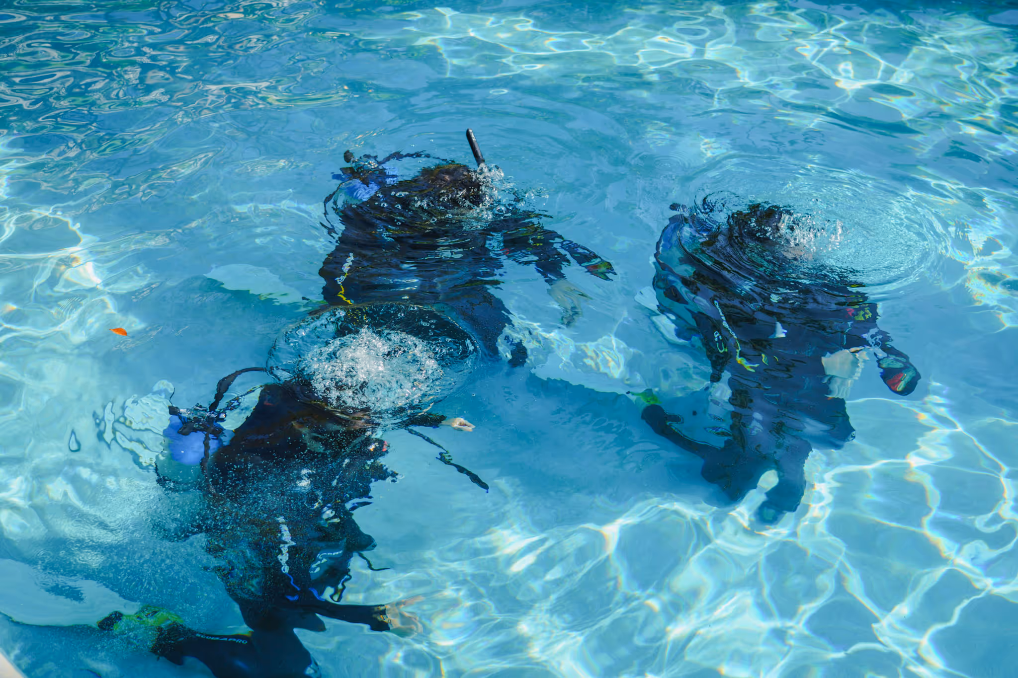 Islamorada Dive Center — photo 2