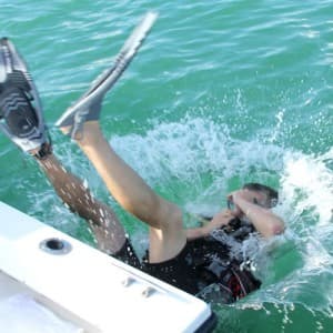Cruise Fish Dive — photo 4
