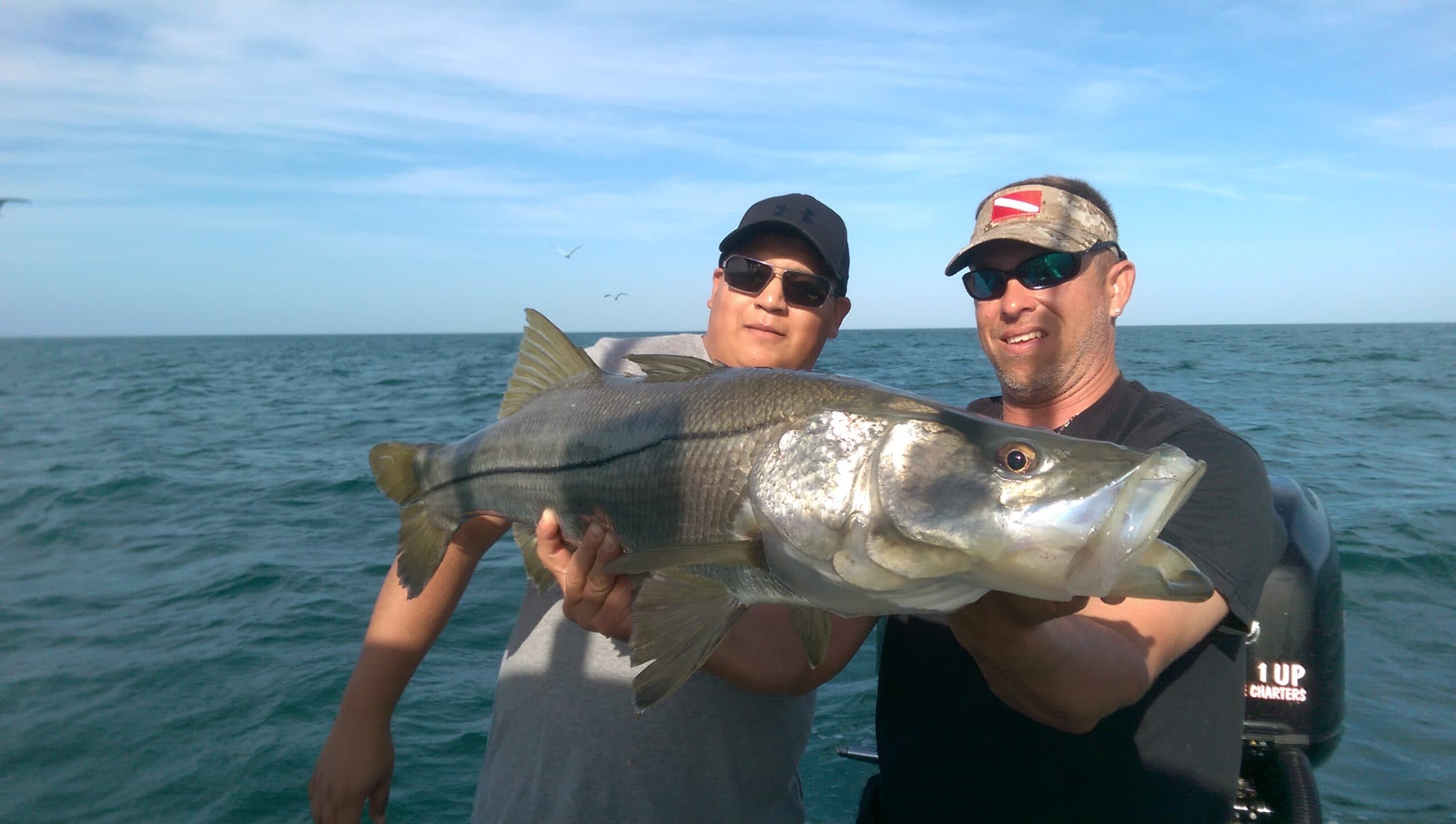 Cruise Fish Dive — photo 2