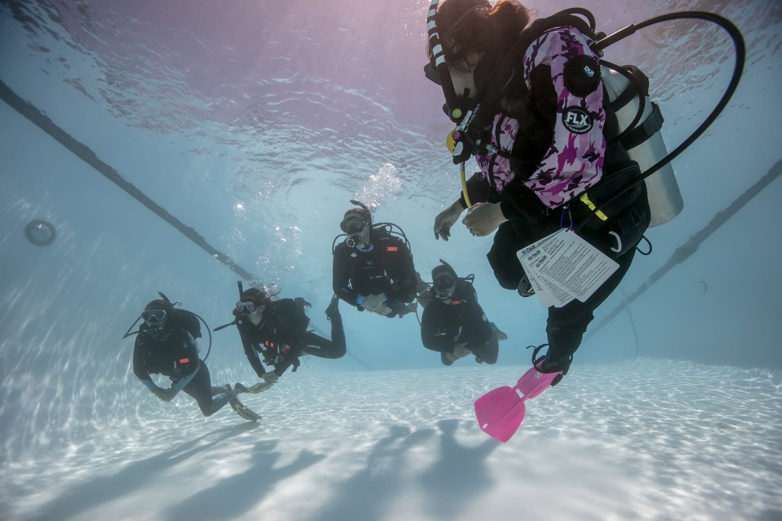 Cruise Fish Dive — photo 3