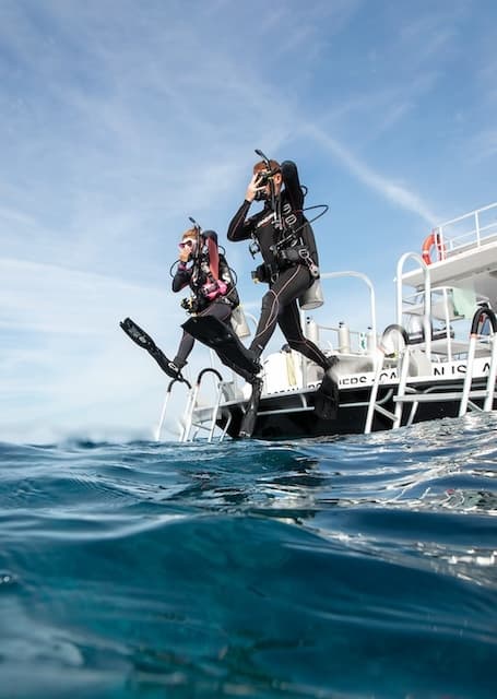 Divers Cove — photo 4