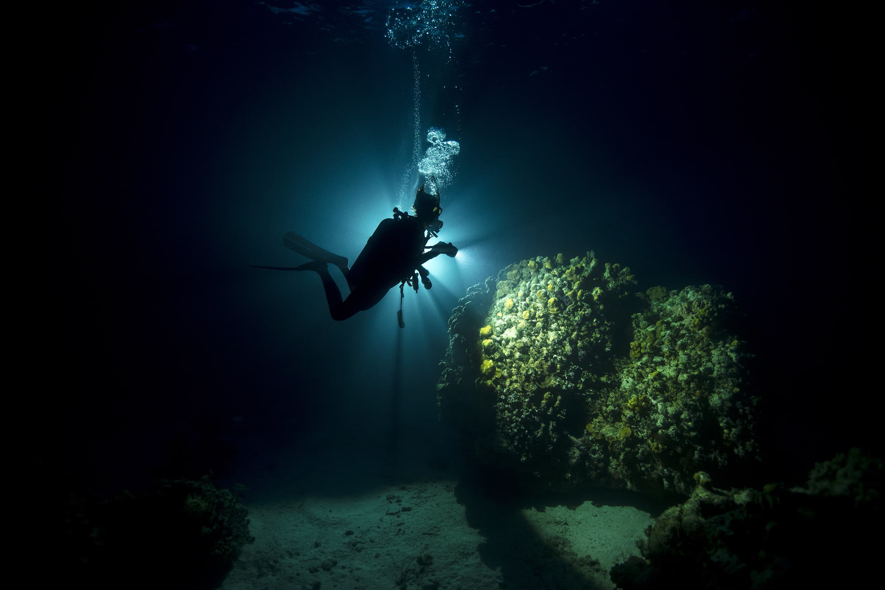 Divers Cove — photo 3