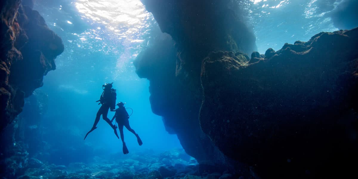 Divers Cove — photo 5