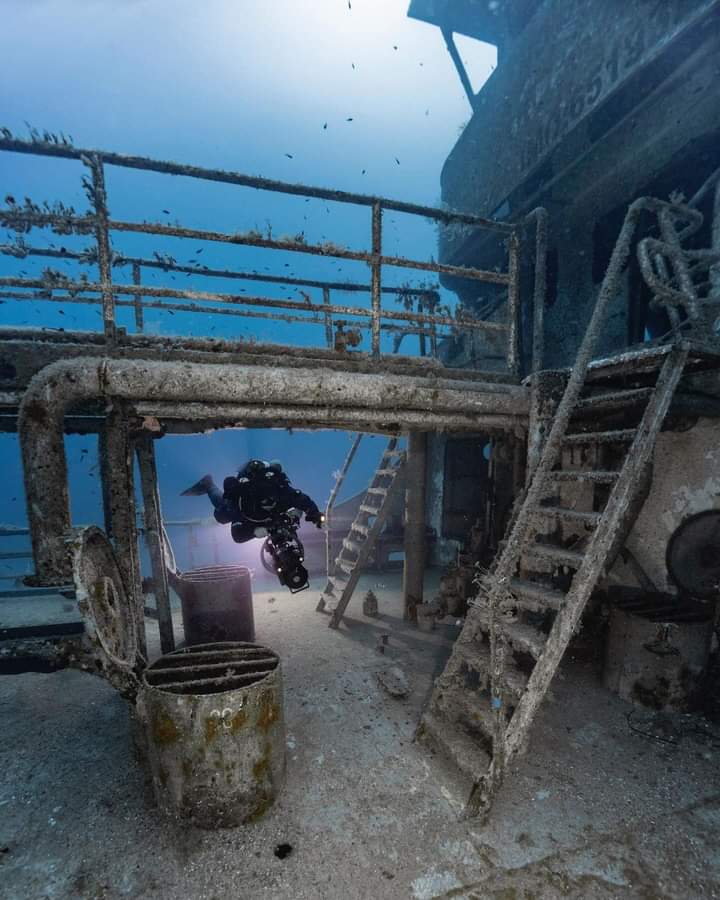 Narcosis Scuba Center — photo 4