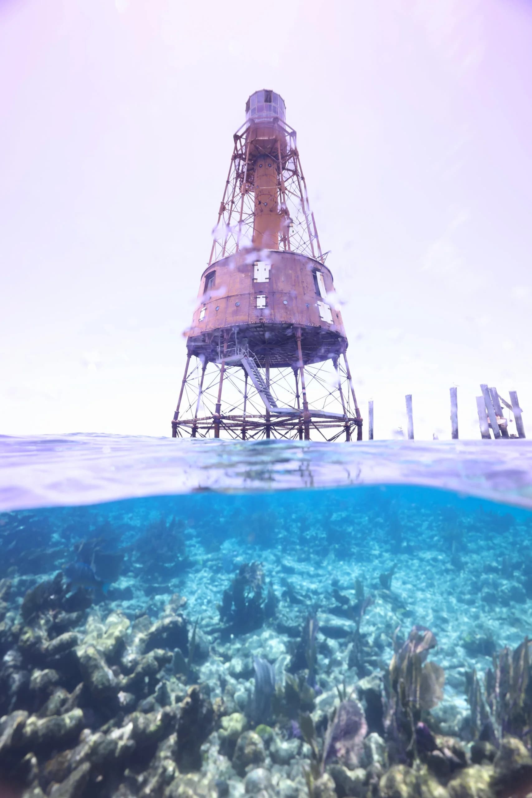 Silent World Dive Center — photo 2