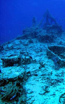 Rainbow Reef Dive Center — photo 5